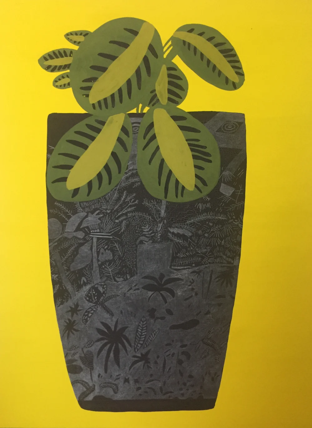 Woods' Black Landscape Pot with Kiwi Plant 1