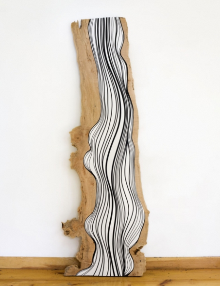 Jason Middlebrook, Black and White Plank #4