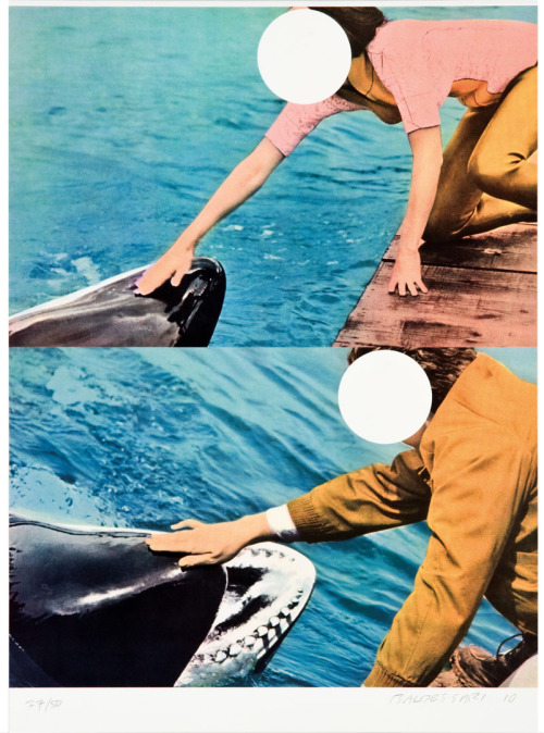 Two Whales With People